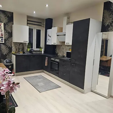 Bright With 2 Bedrooms In Daire Herstal