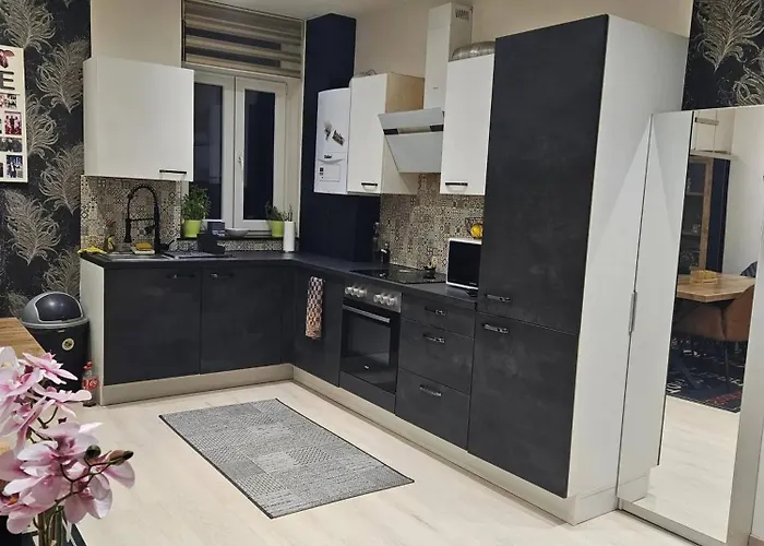 Bright With 2 Bedrooms In Daire Herstal