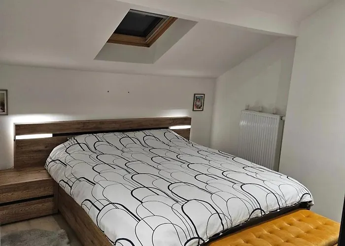 Bright With 2 Bedrooms In Herstal